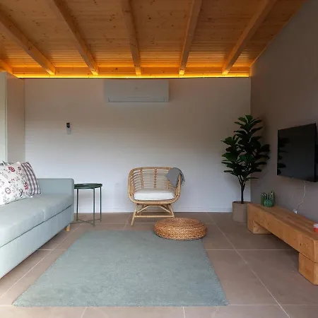 Casa Tojeira 別荘 ヴィエイラ・ド・ミーニョ