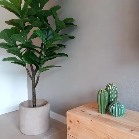 بيت للعطل Casa Tojeira