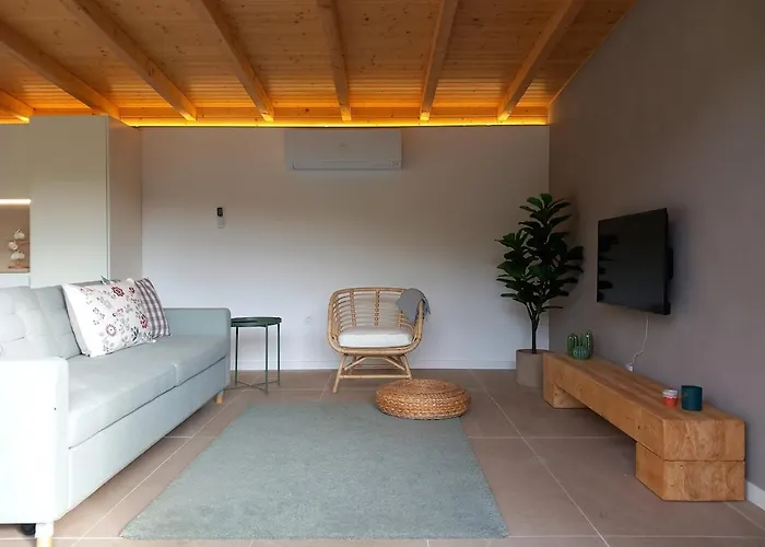 Casa Tojeira Дом отдыха Виейра-ду-Минью