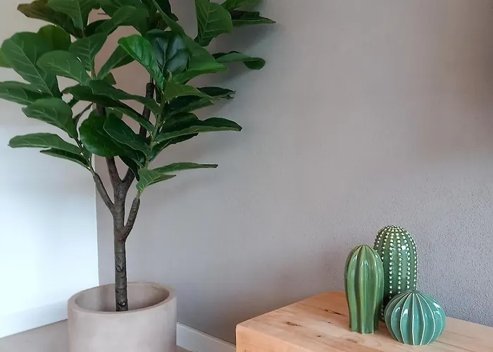 Дом отдыха Casa Tojeira